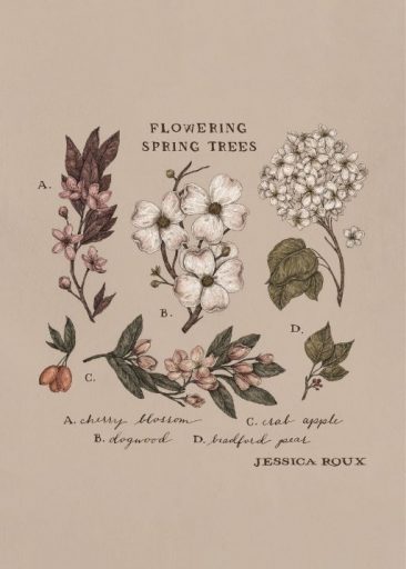 Flowering Spring Trees av Jessica Roux